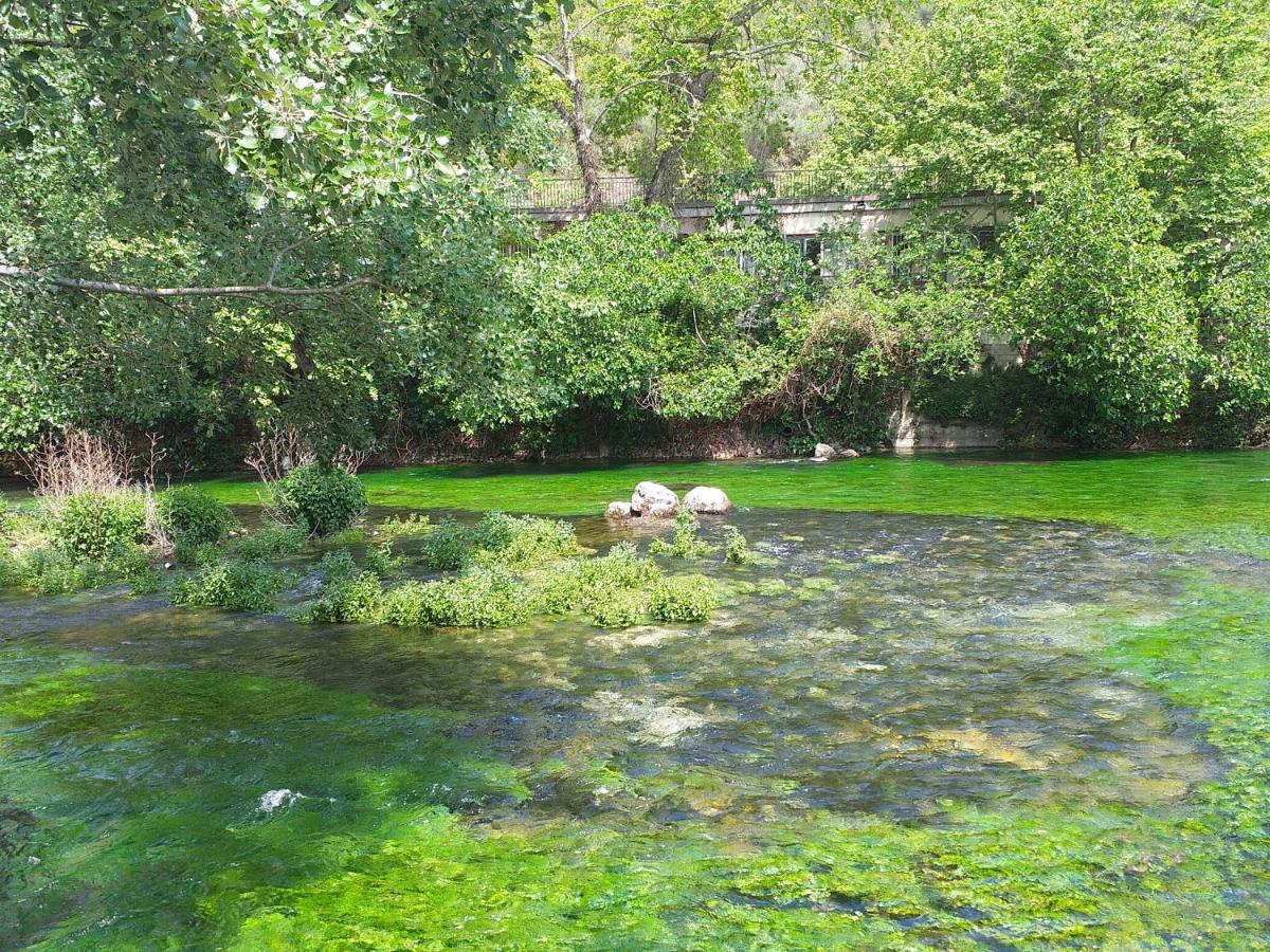 Maison Au Coeur De Fontaine De Vaucluse, Nichee Sur Le Rocher Et Surplombant La Sorgue Екстериор снимка